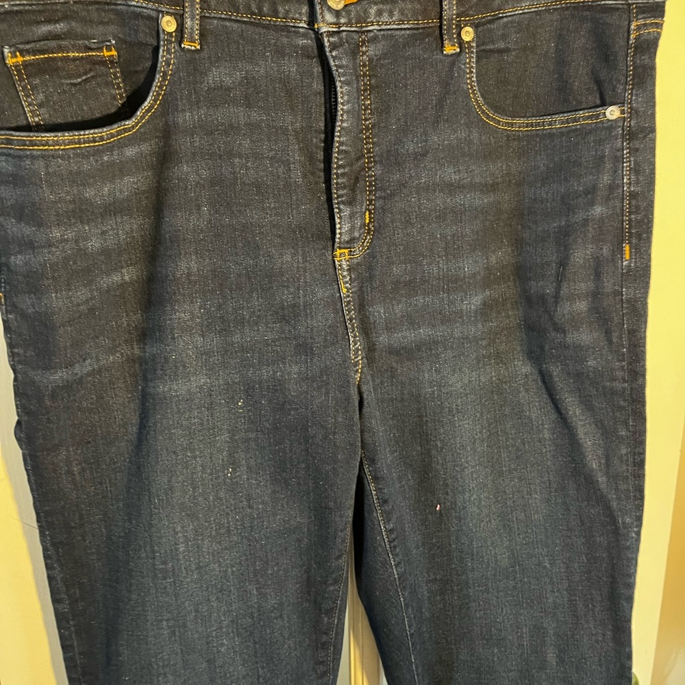 LOFT Blue Denim Jeans